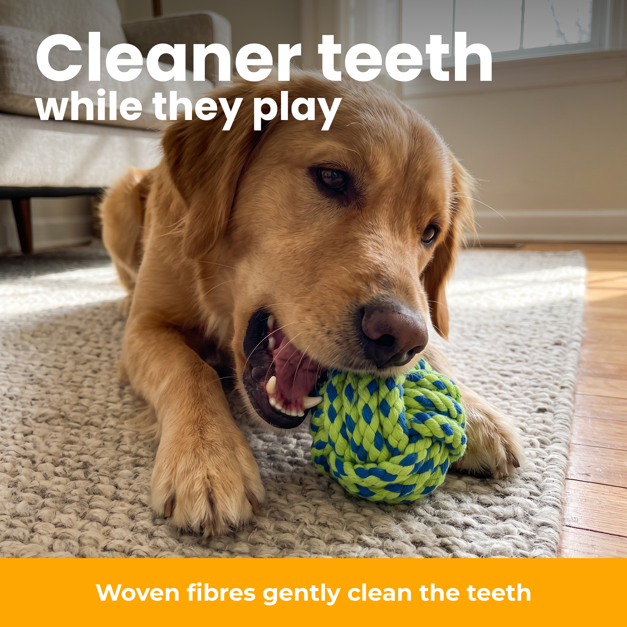 [en] Cleaner teeth while they play