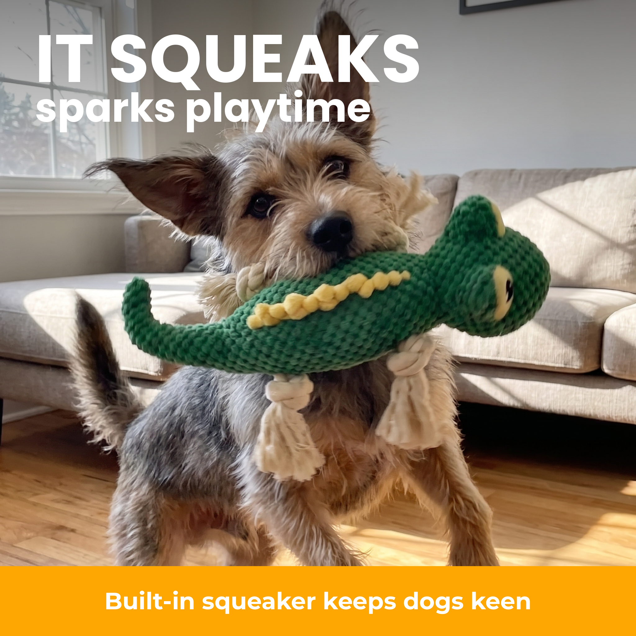[en] Squeaky toy sparks the urge to play