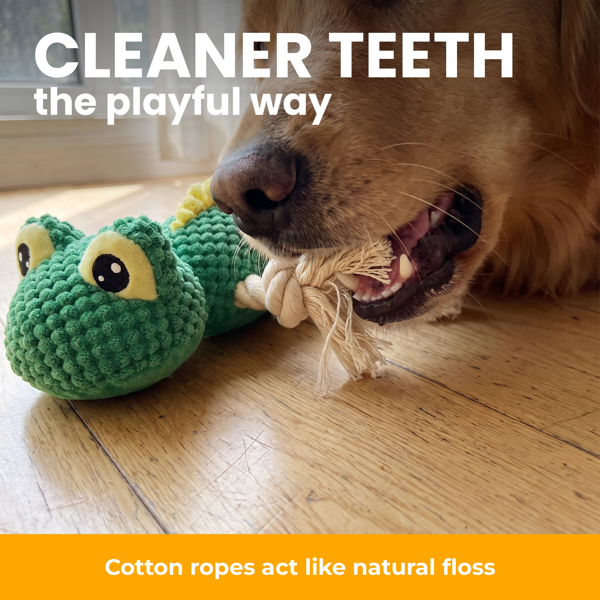 [en] Cotton ropes for playful dental care