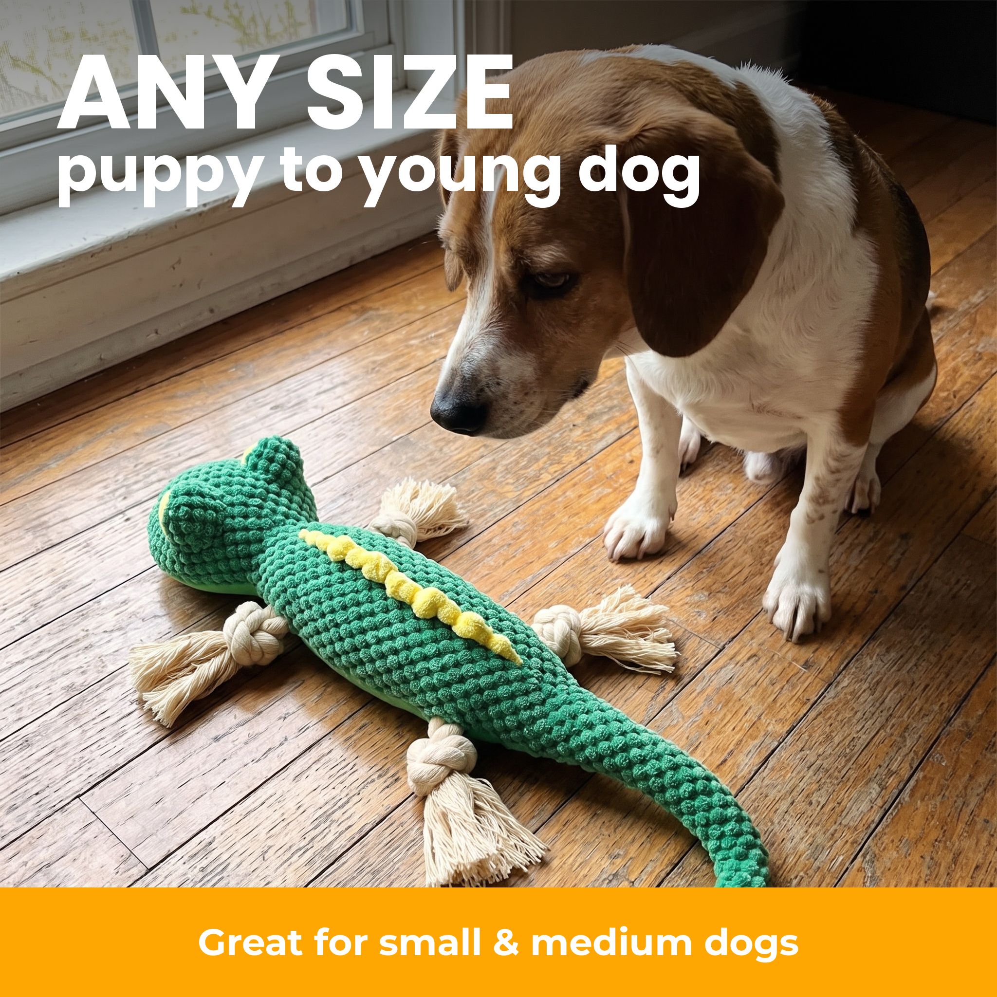 [en] Suitable for every dog size