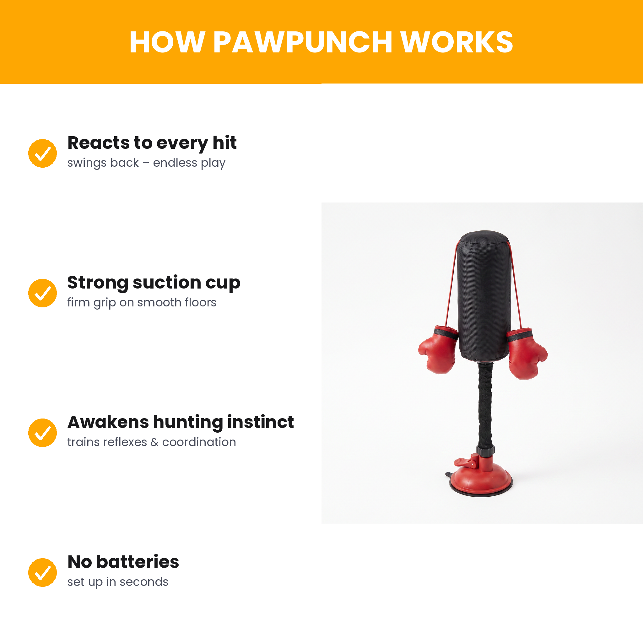 [en] How PawPunch works