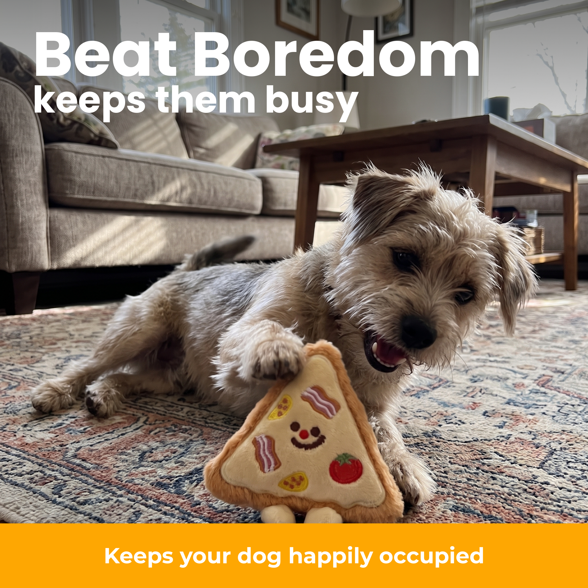 [en] PizzaPaw beat boredom