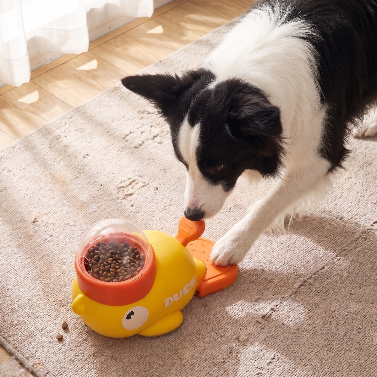 Dog playing alone with Quacki, pressing the pedal with his paw