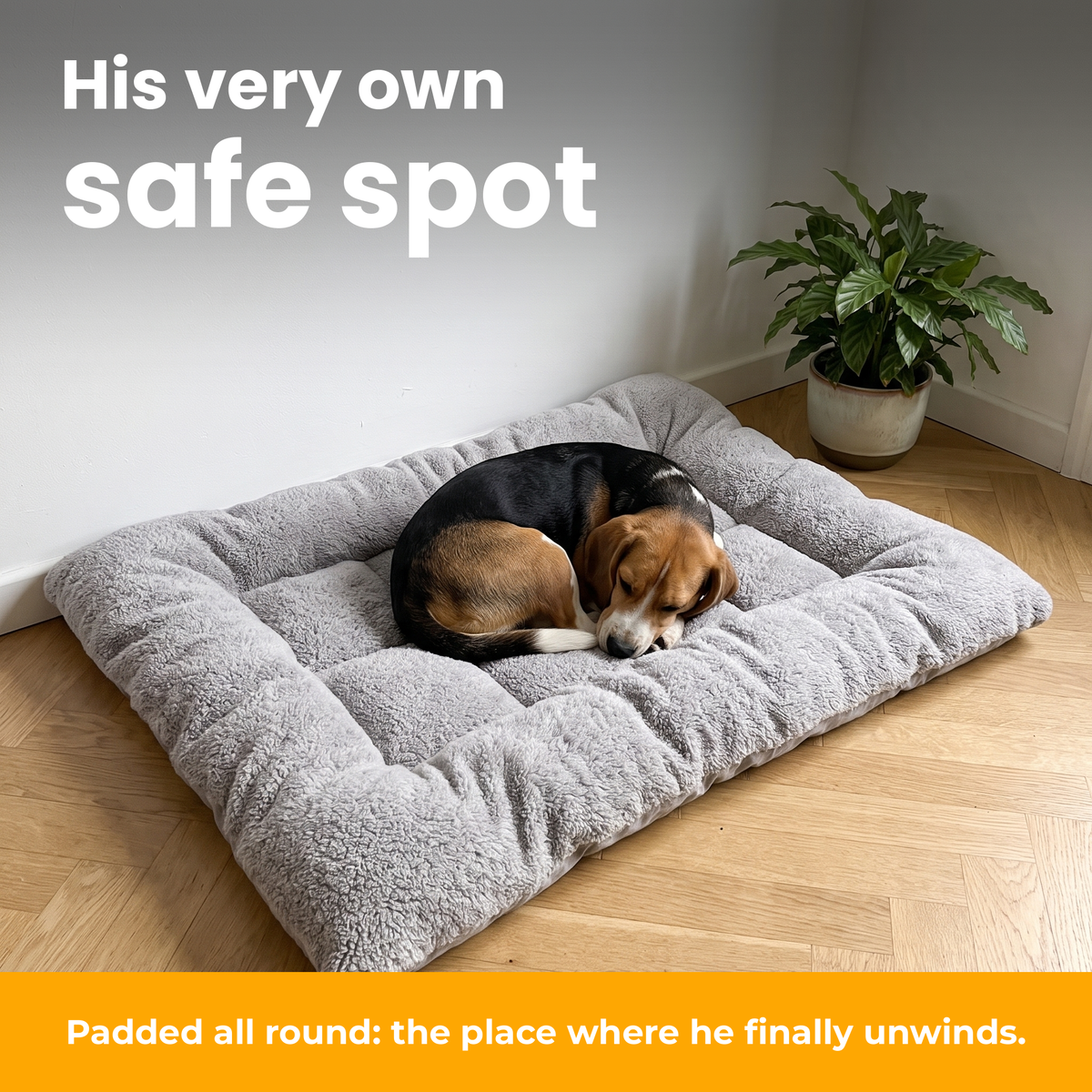 [en] TeddyBed – Beagle sleeping curled up in its TeddyBed